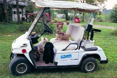 Original Golf Cart